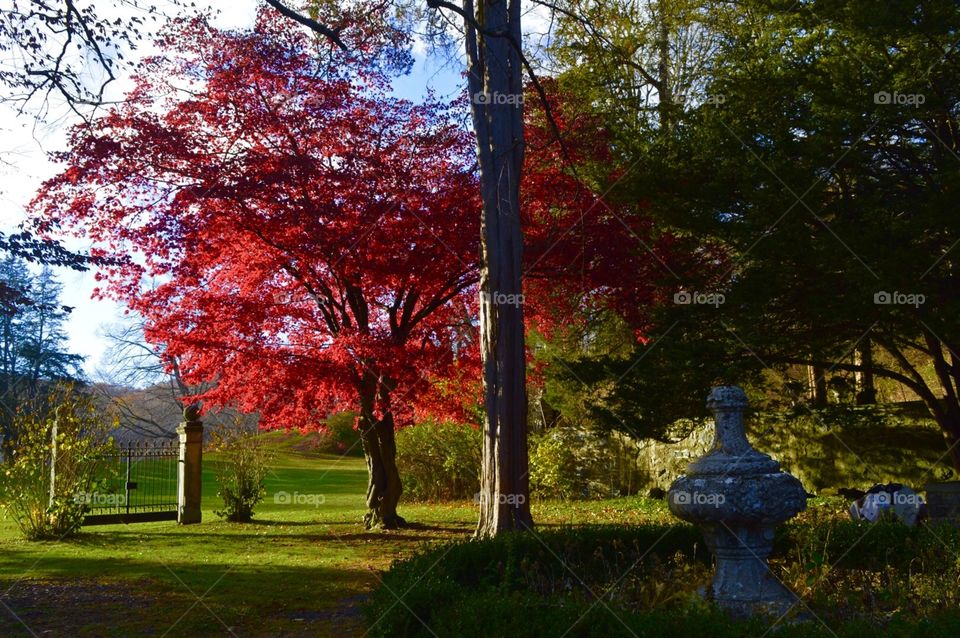 Life is full of color