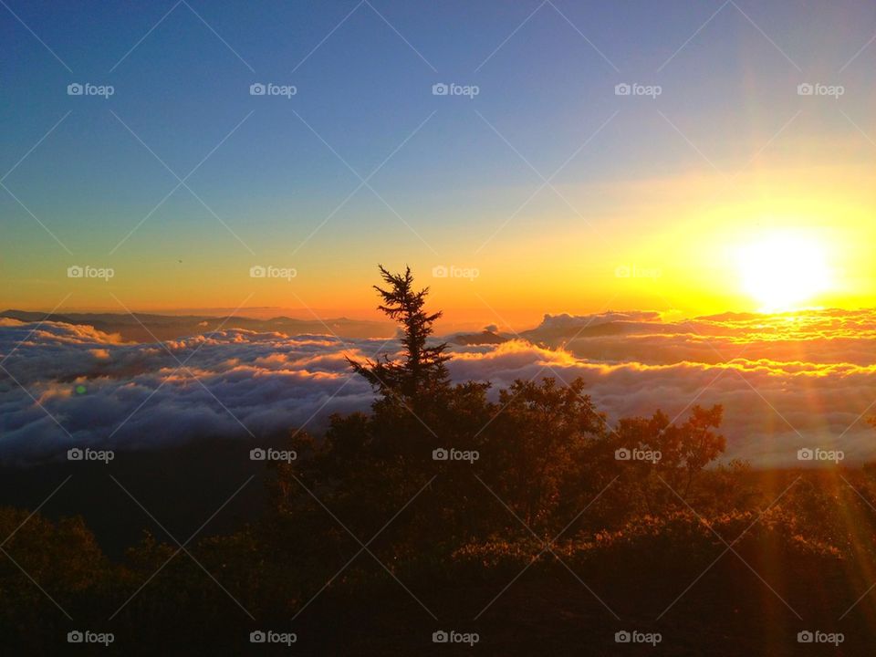 Mount Fuji sunrise 