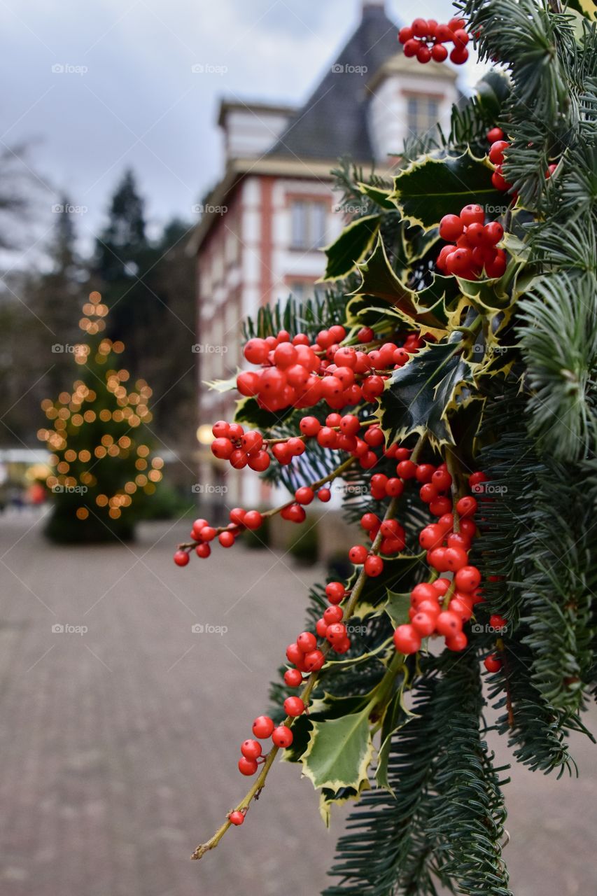 Red berries