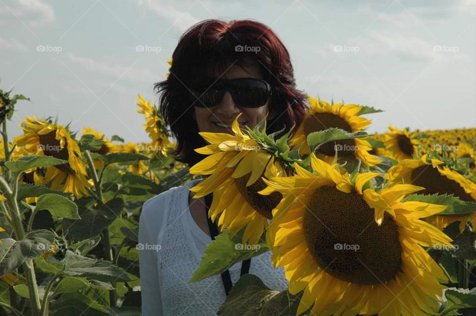 Sunflowers and I