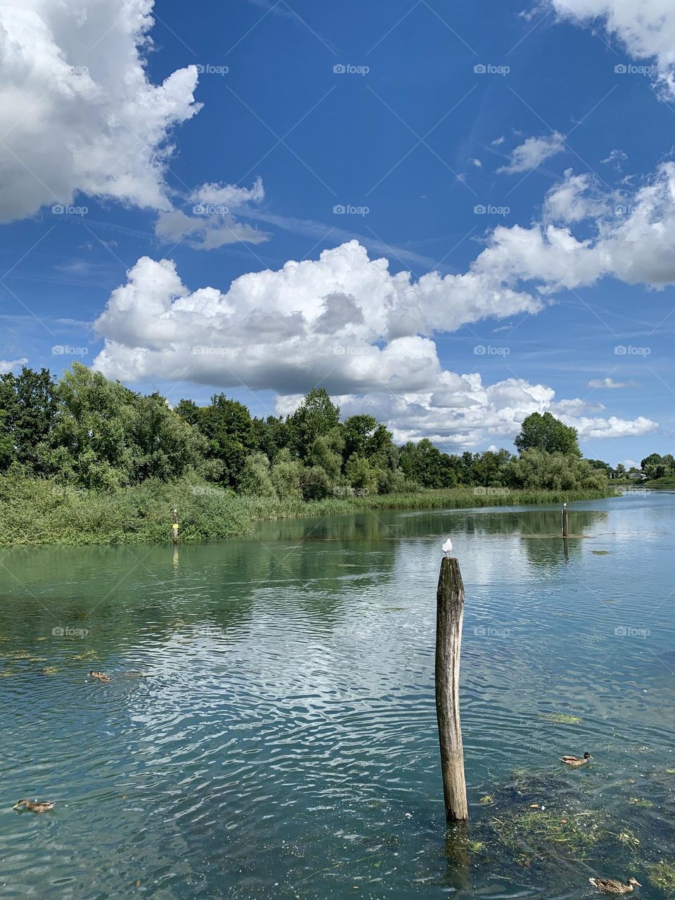 A romantic glimpse of the course of the river Sile from the small port of Casier, in the province of Treviso, on a splendid summer day. This stream is known for being the longest spring river in Italy.