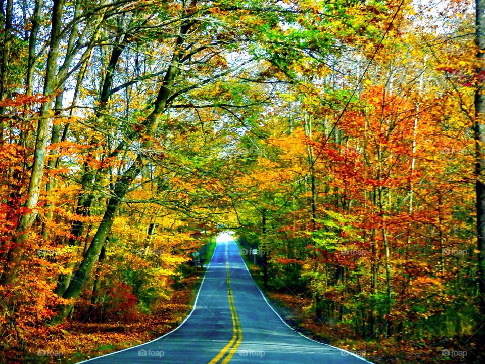 Driving in the woods in fall