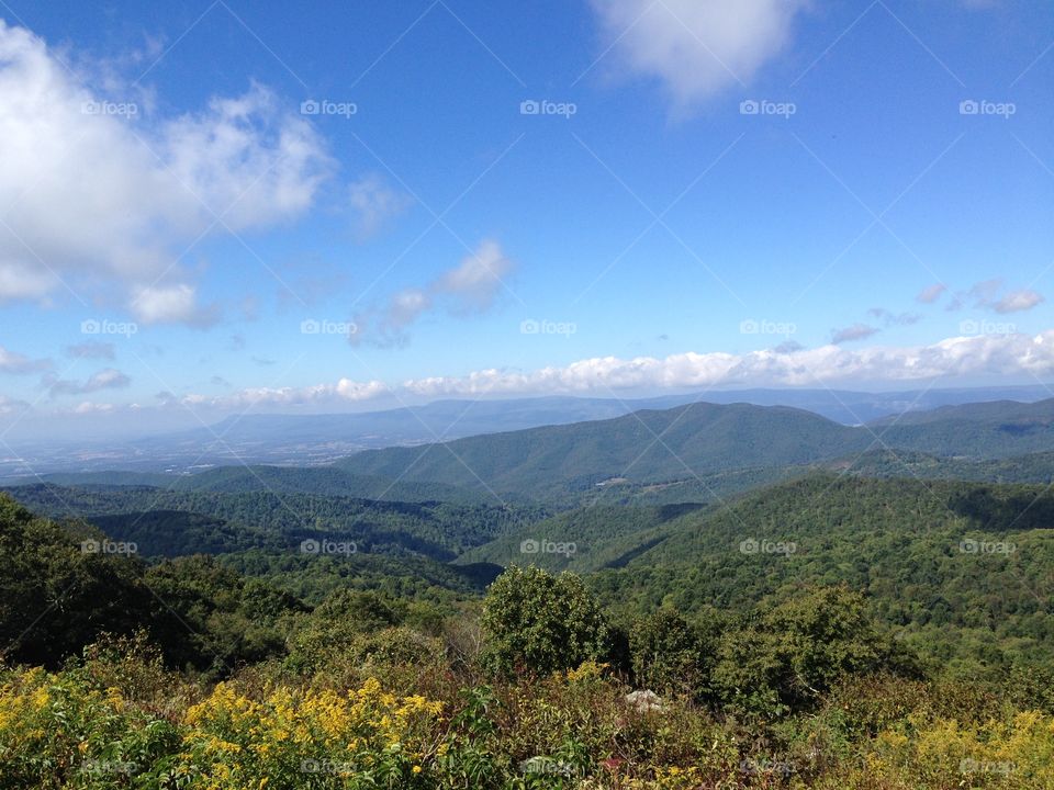 Skyline Drive 