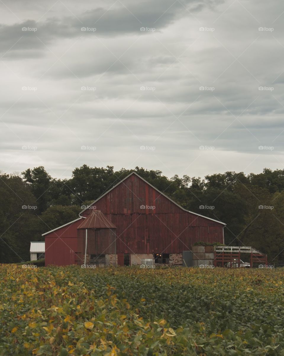 Rustic barn in front of a moody sky