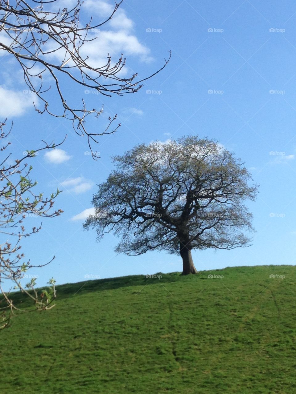 Alone on a hill