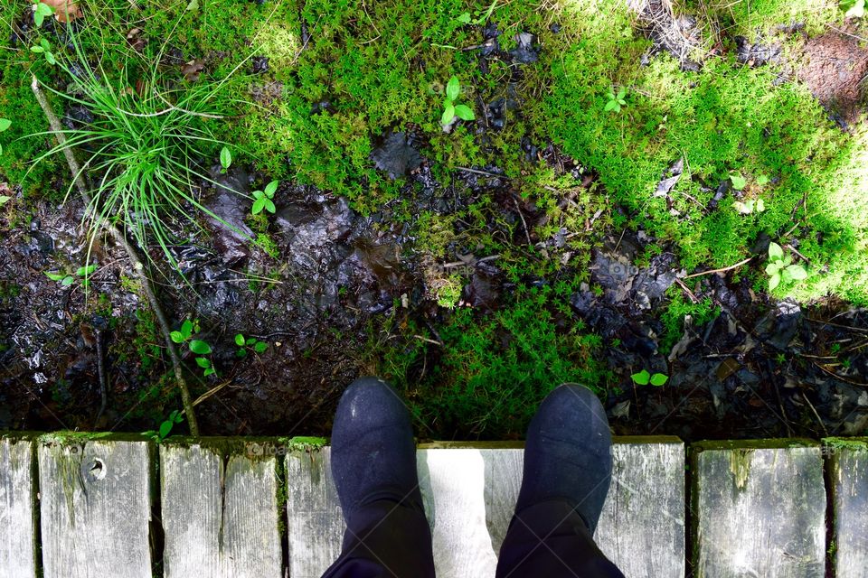 Nature at my feet