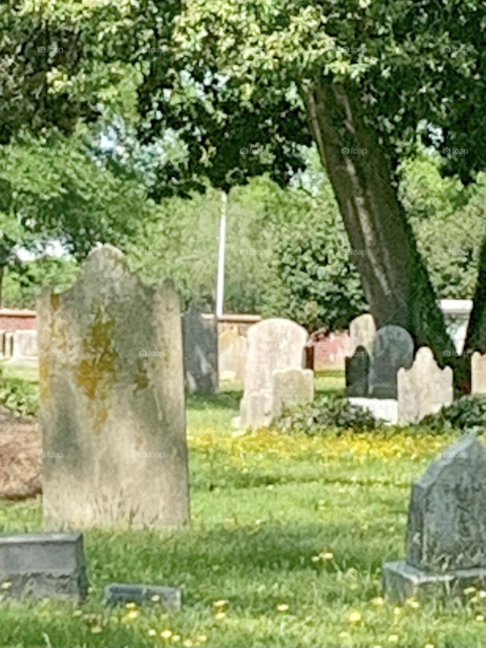 Elmwood Cemetery 