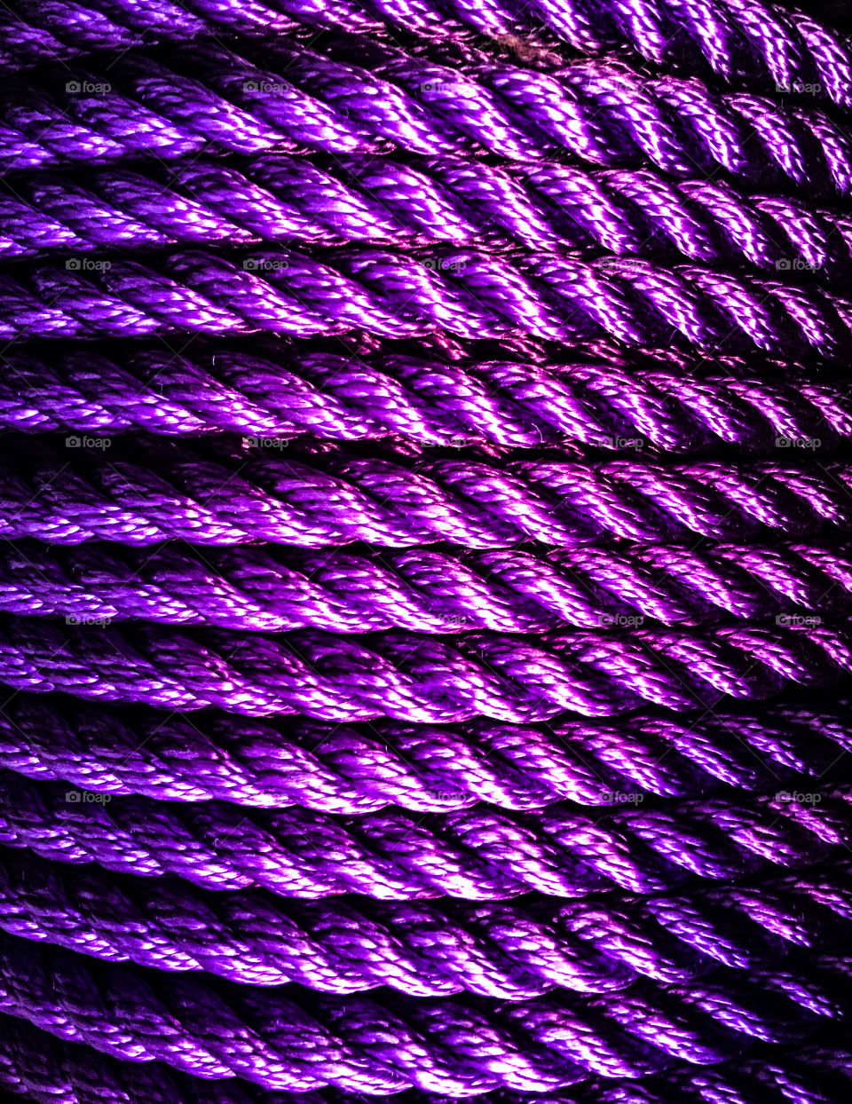 Close-up of violet rope