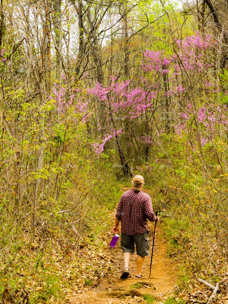 Spring Walk