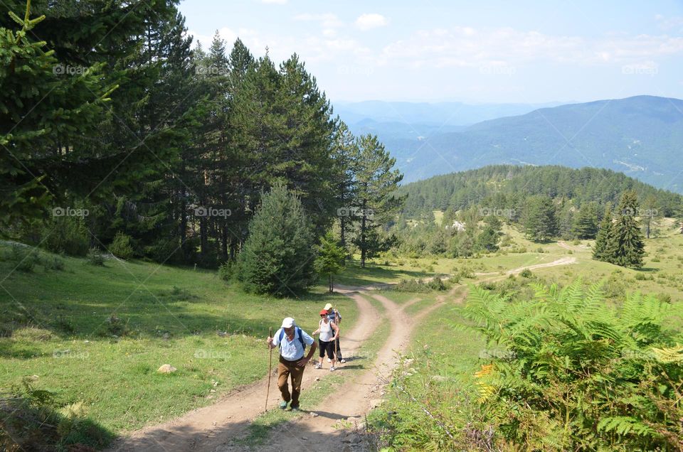 Let's go on a hike, Rhodope Mountains, Bulgaria