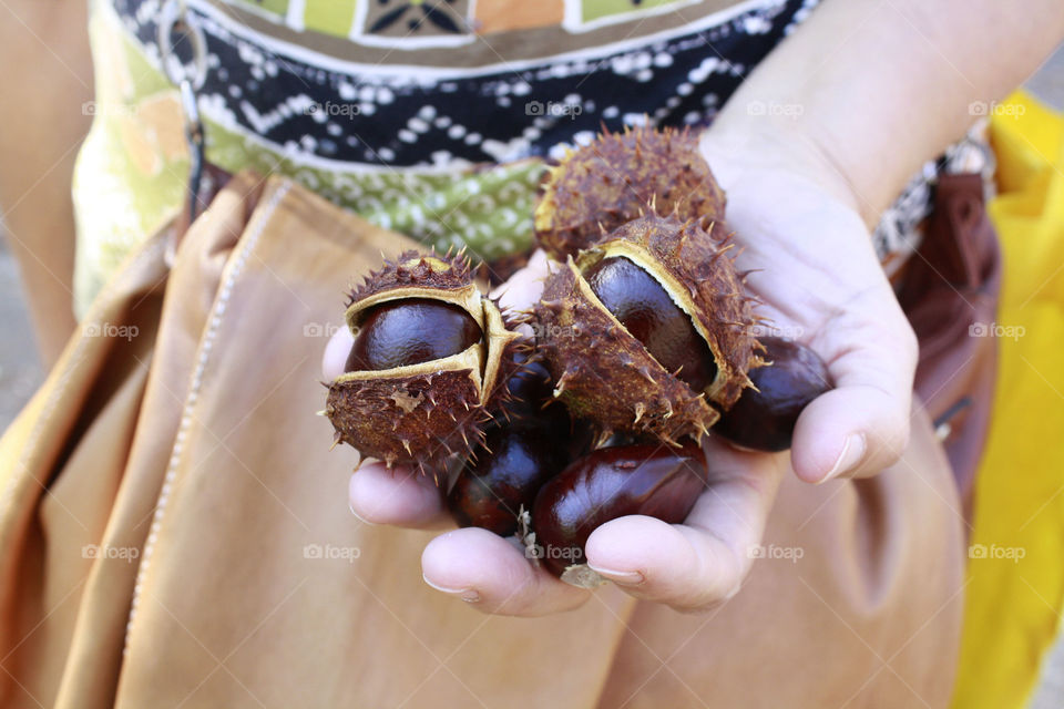 Chestnuts