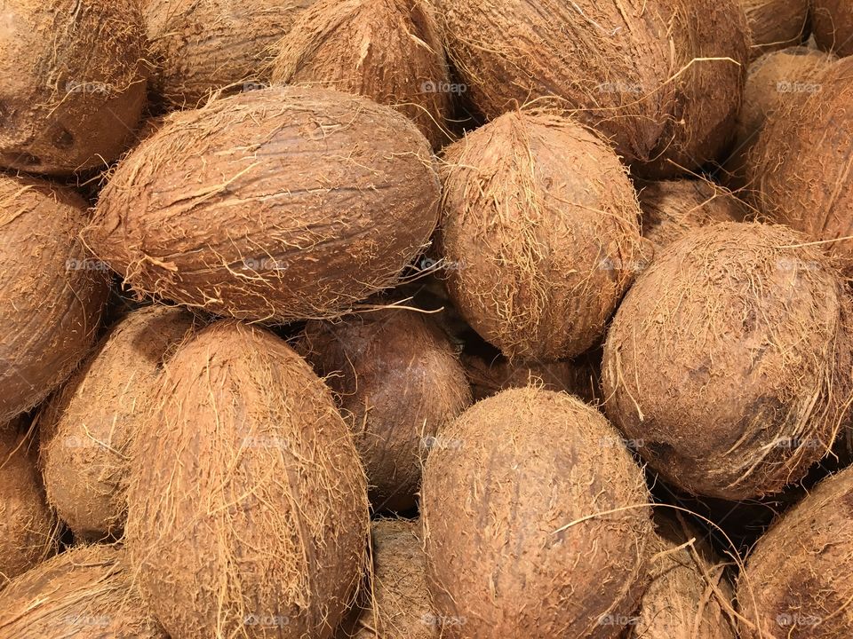 High angle view of coconuts