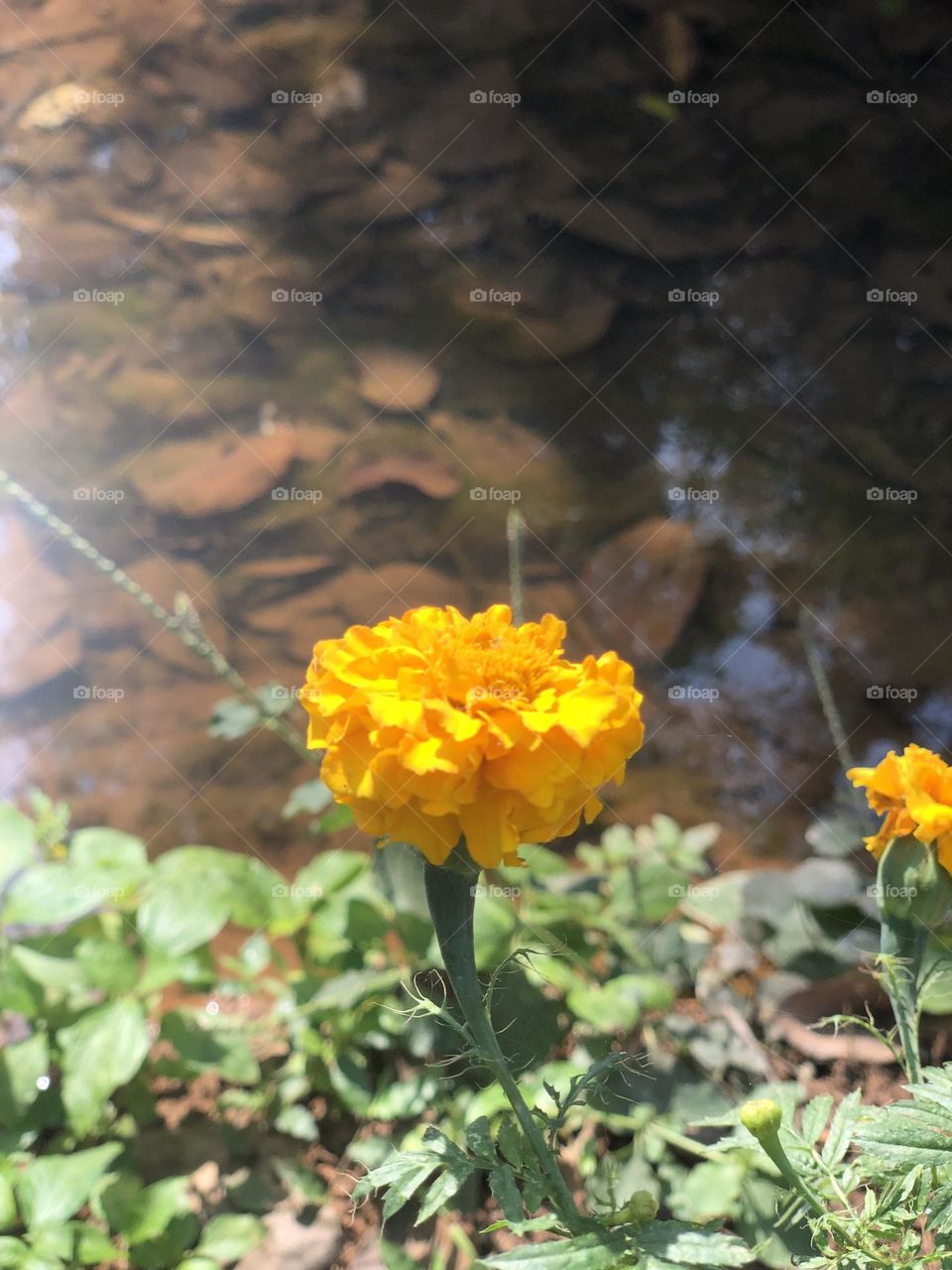 Seems blured in different ways 