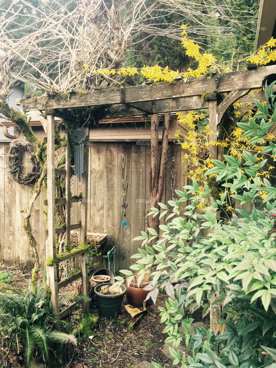 Gateway to my Grandma's Garden
Vancouver, Washington
27 March 2017
