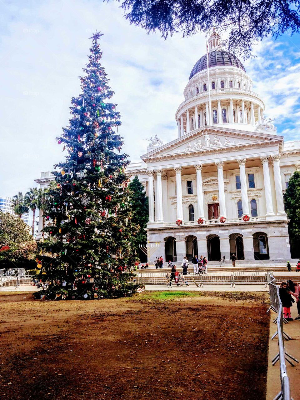 Capital Christmas
