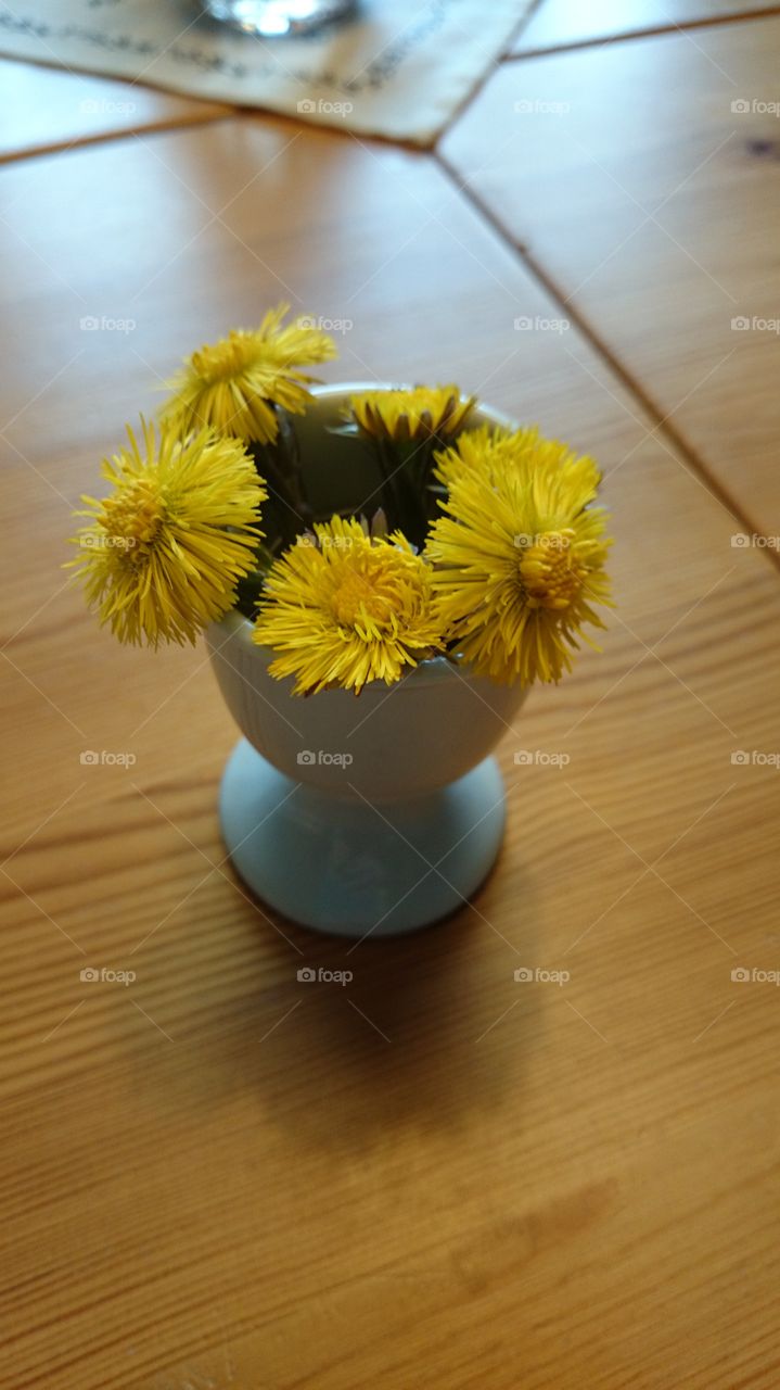 Coltsfoot bouquet