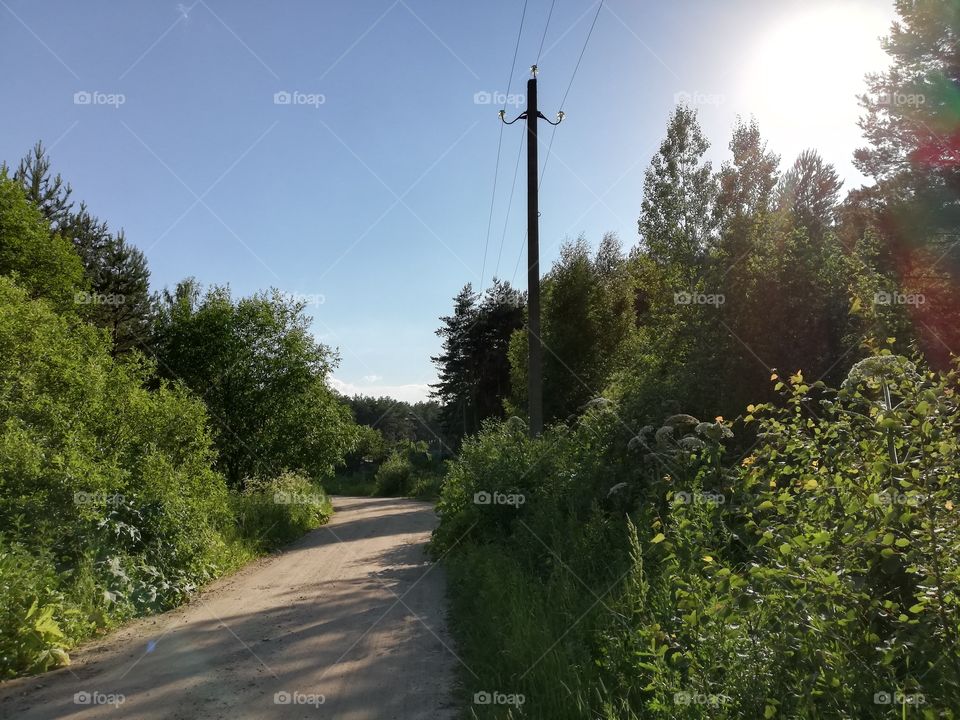 Summer road in the forest Ivanovo Russia