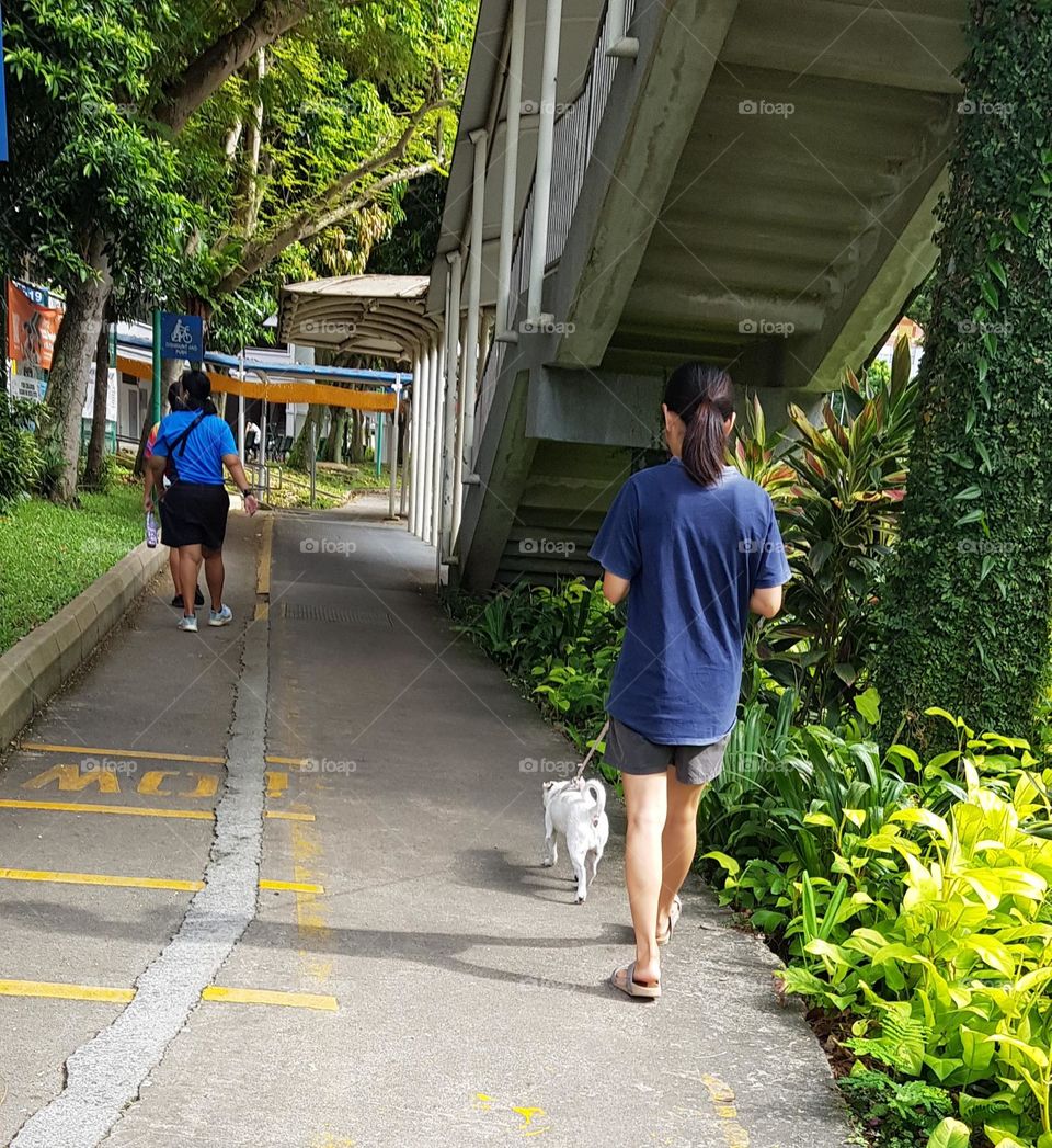 women walking outside along with dog