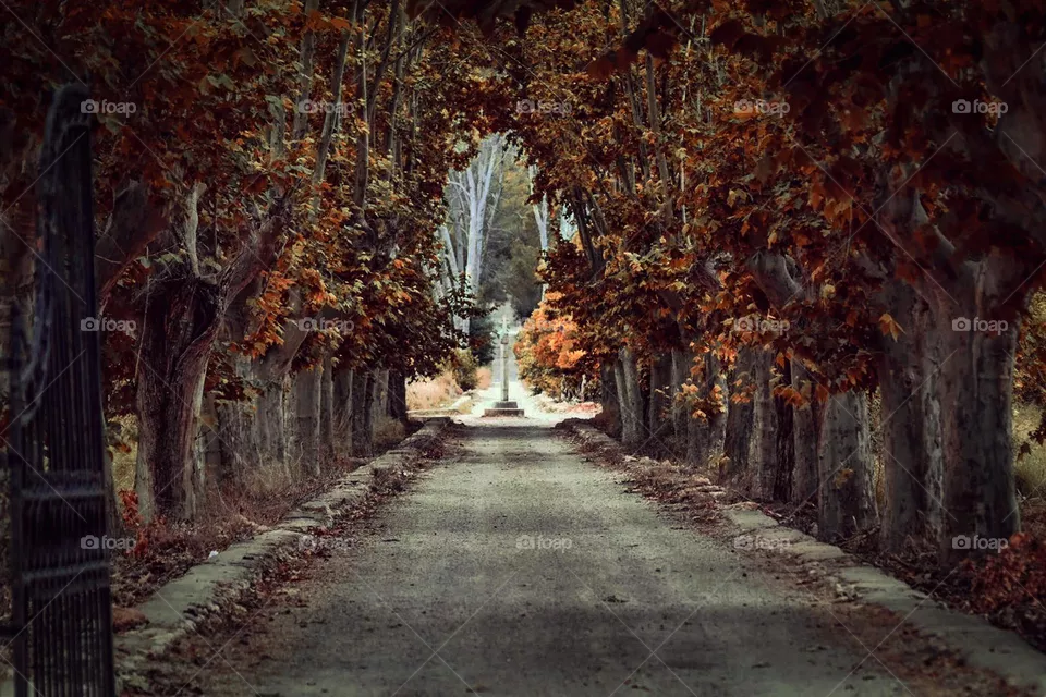 autumm