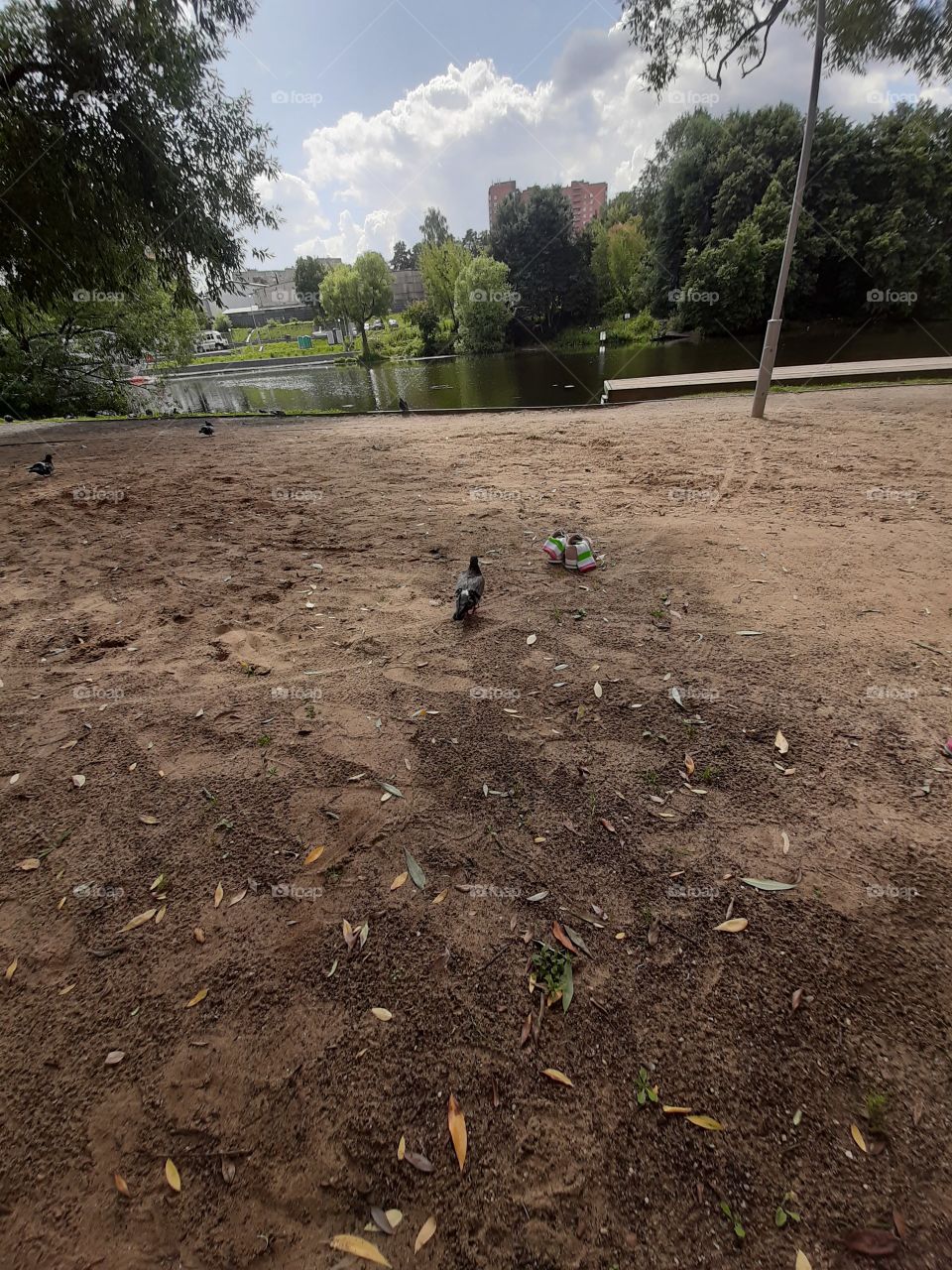 Пляжное   место.