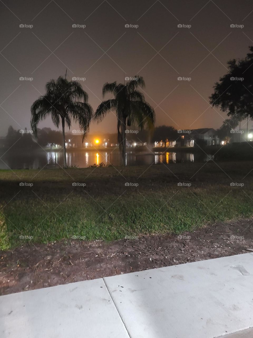 foggy new year eve 2021 Tampa Florida