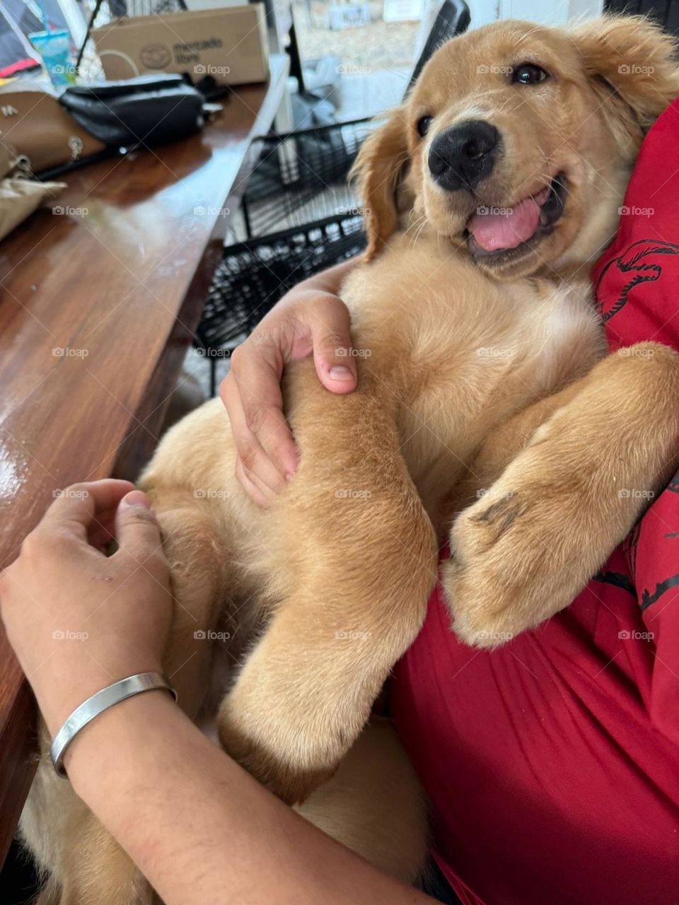 Pequeño Max feliz 