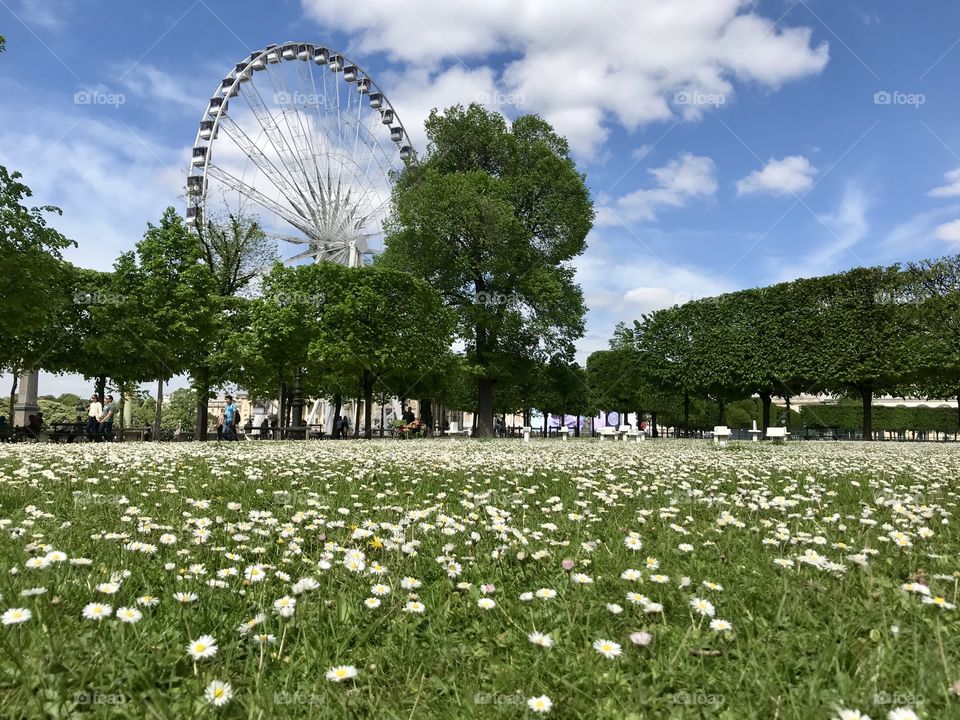 Discovering Paris