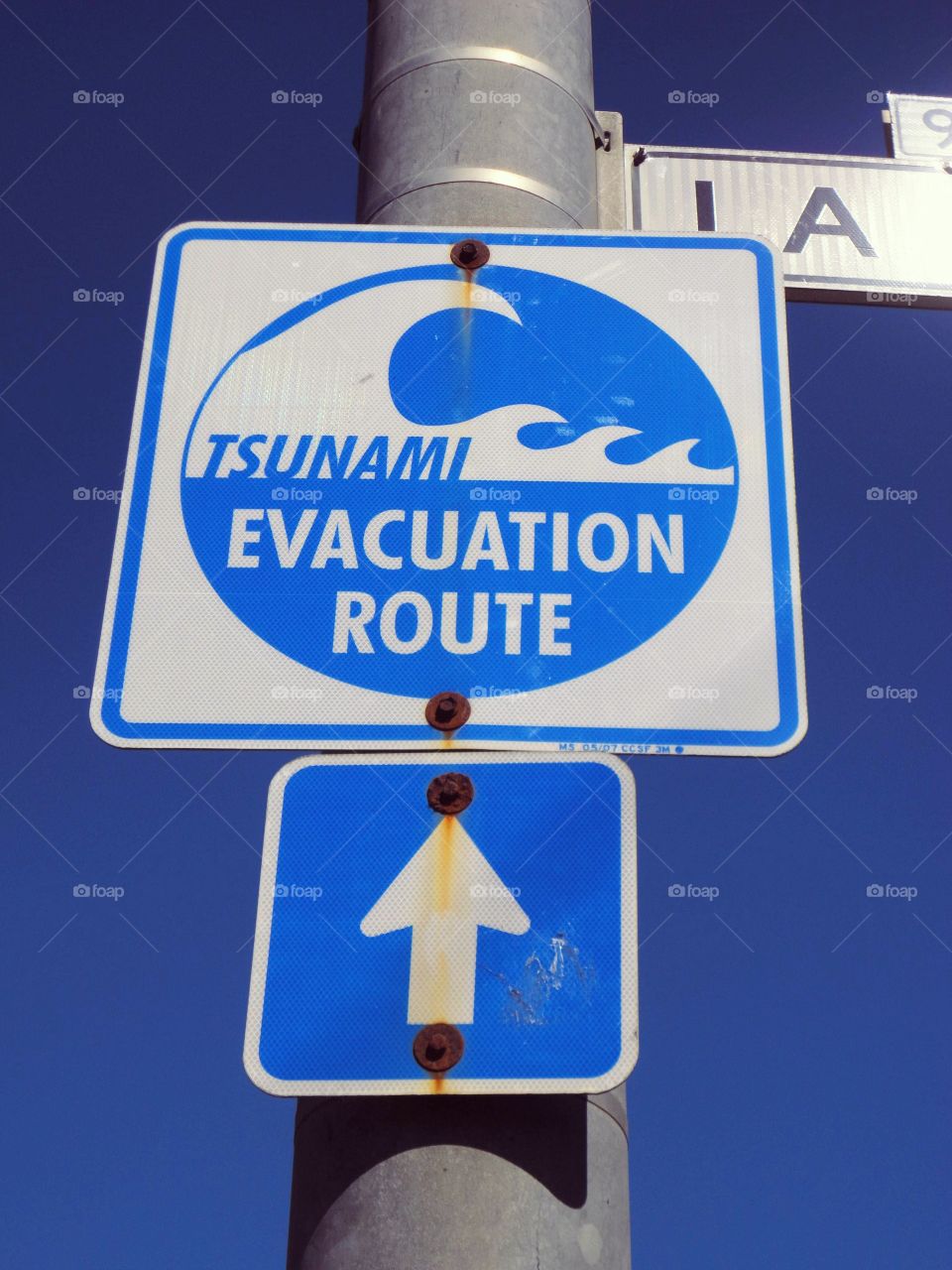 Hm... it's good to know, where to run. But do you think it'll really help us in a dangerous situation?
Tsunami evacuation sign, San Francisco Beach.