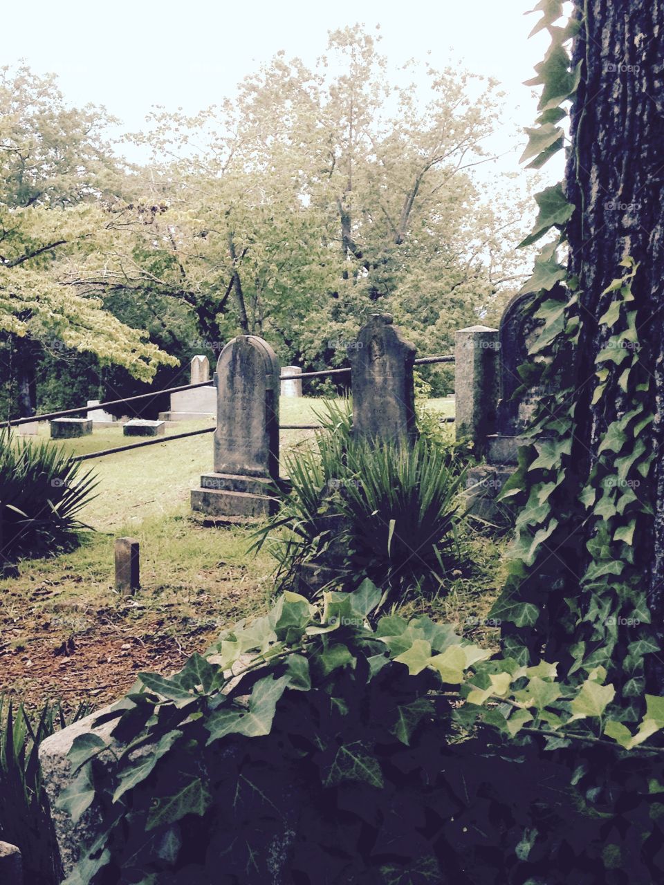 Graveyard, tombstone creepy 