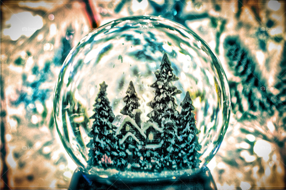 winter pretty white tree by somebeach