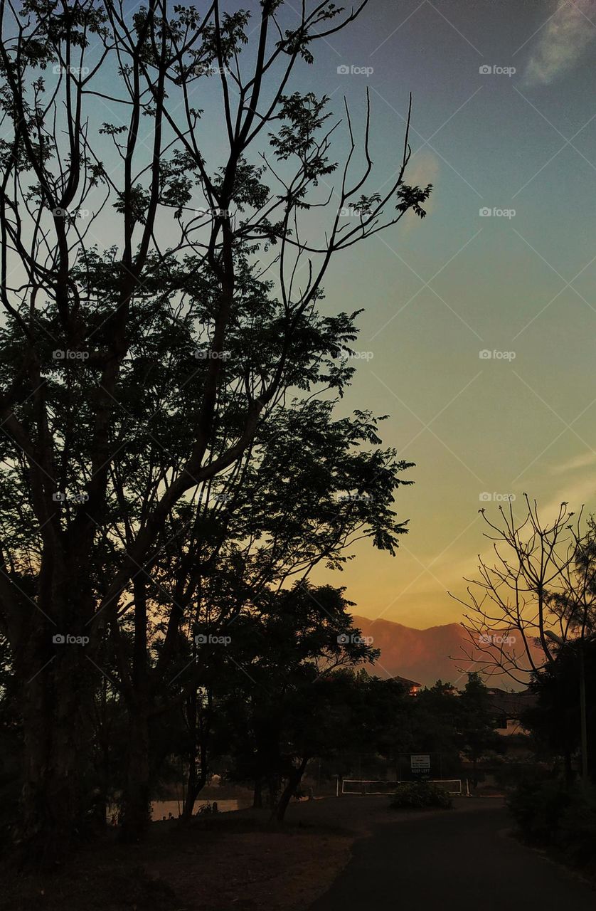 Nature amazes at every turn🏔️💚🌳