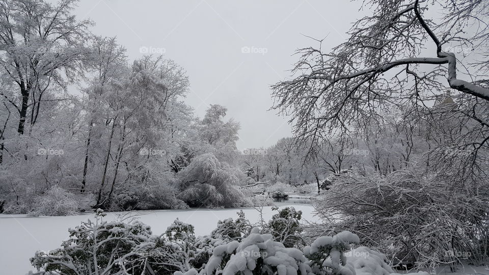 Winter in New York City. 🗽❄❄❄⛇☃🌨🌨🎄❄