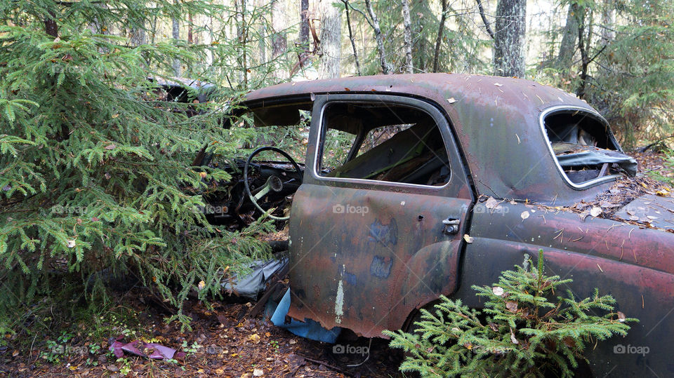 sweden forest cars cemetery by jensc