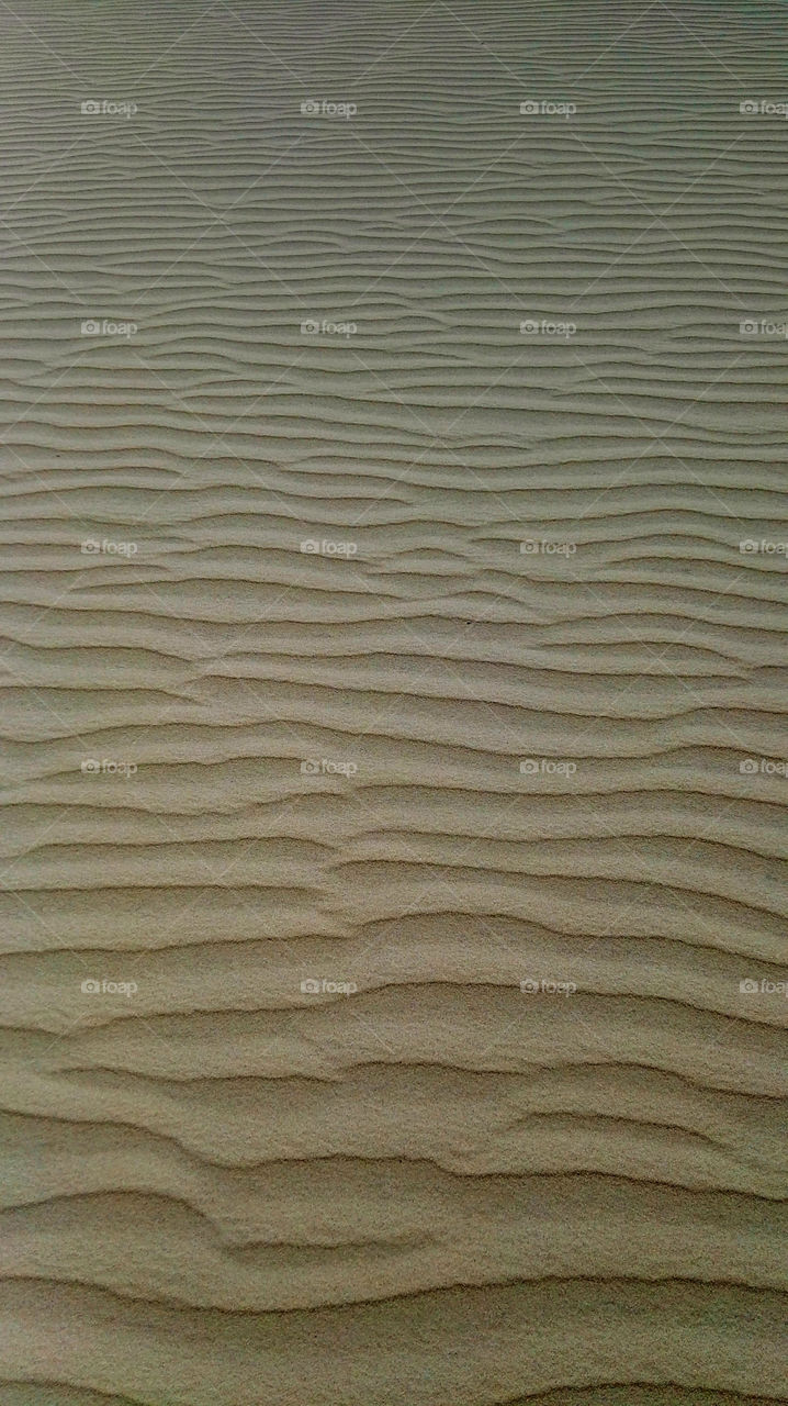 Waves on sand in the desert 