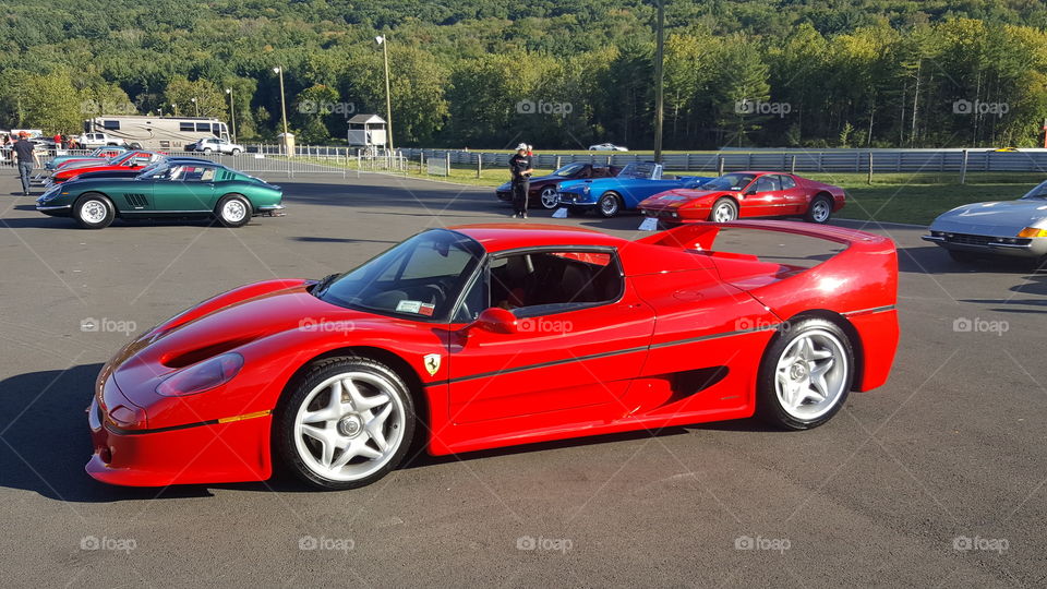 Ferrari F50 at Ferrari Challenge Limerock Rock Park