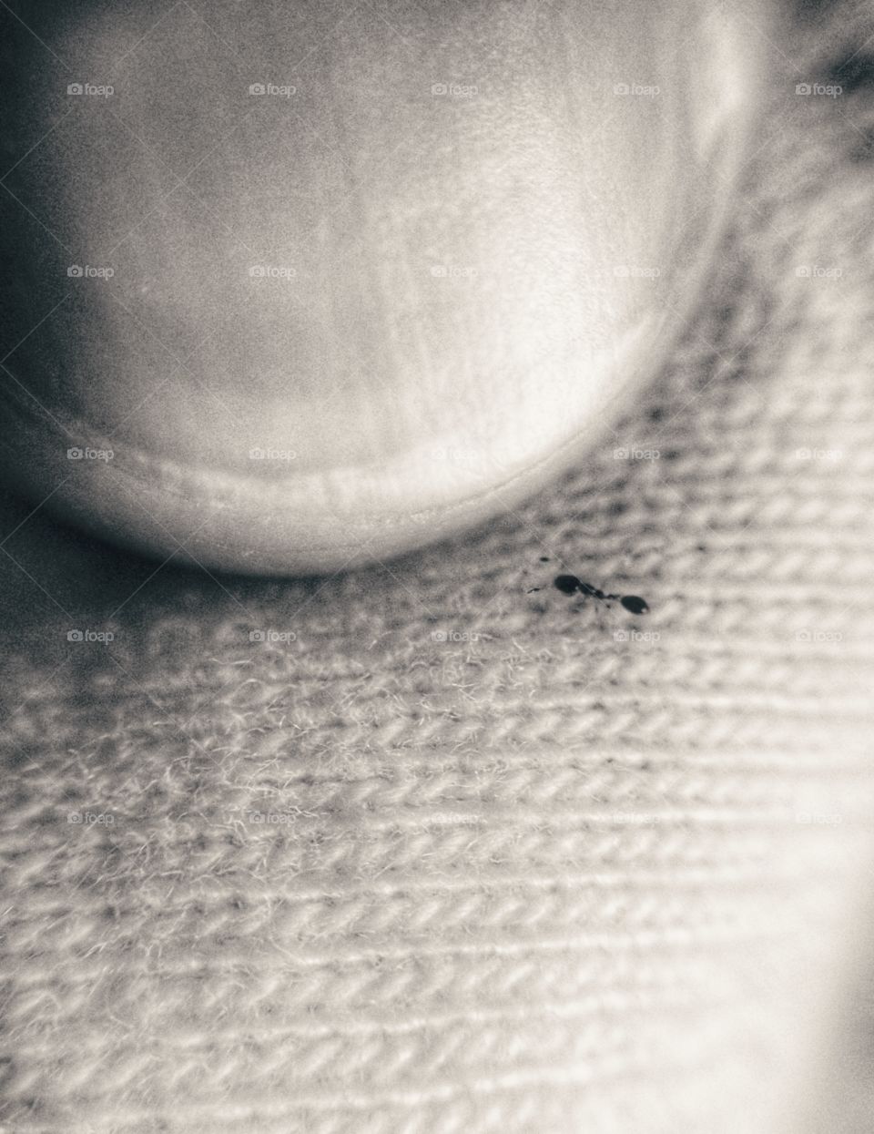 Small thing in this world