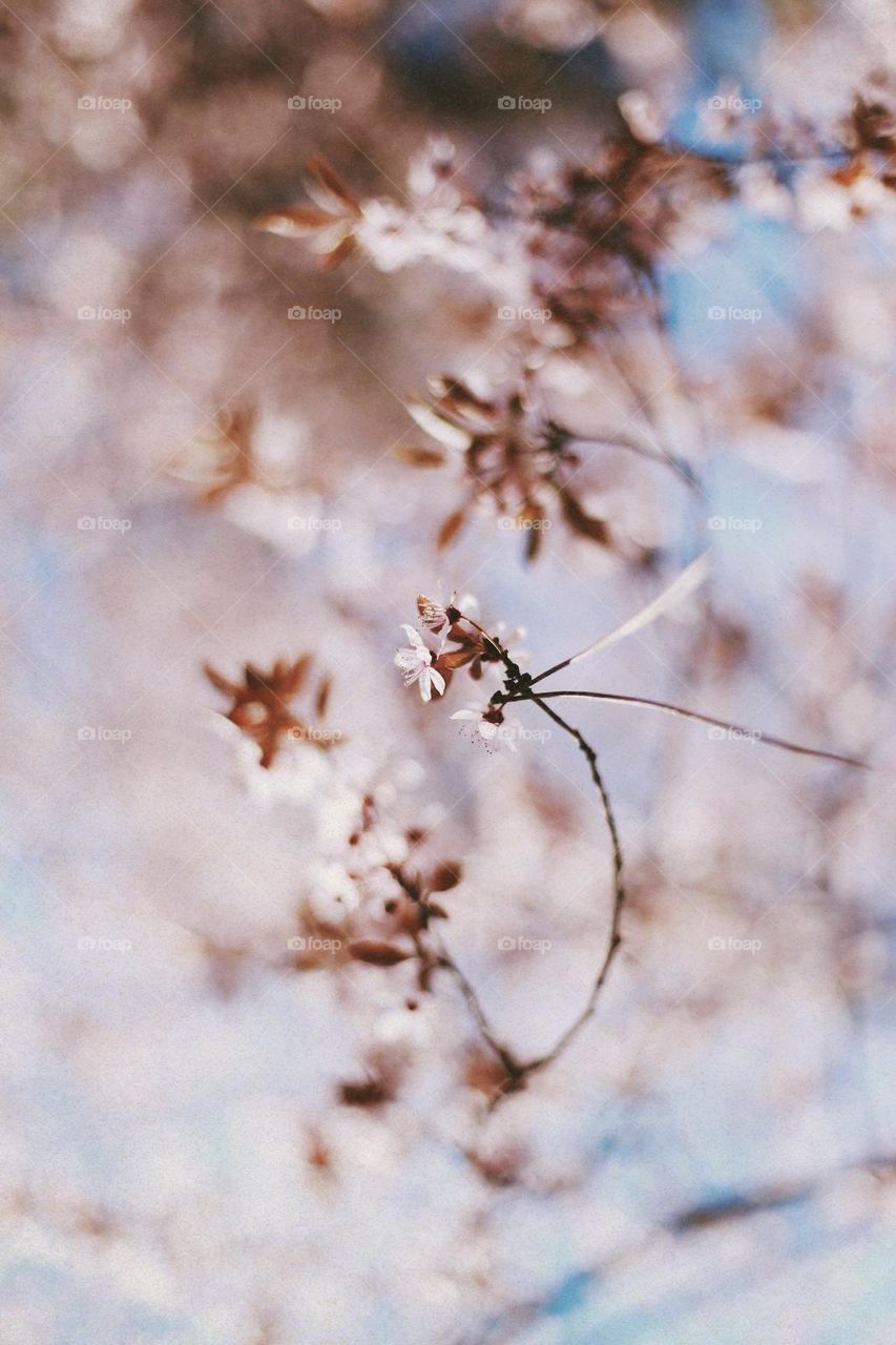 When everything is coming back to life