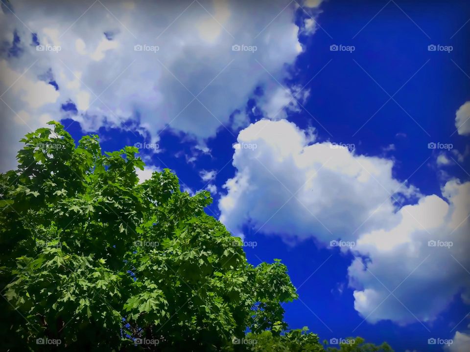 A little bit of cotton wool in the skies 🌌 