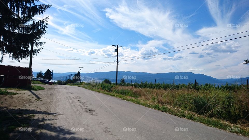 view