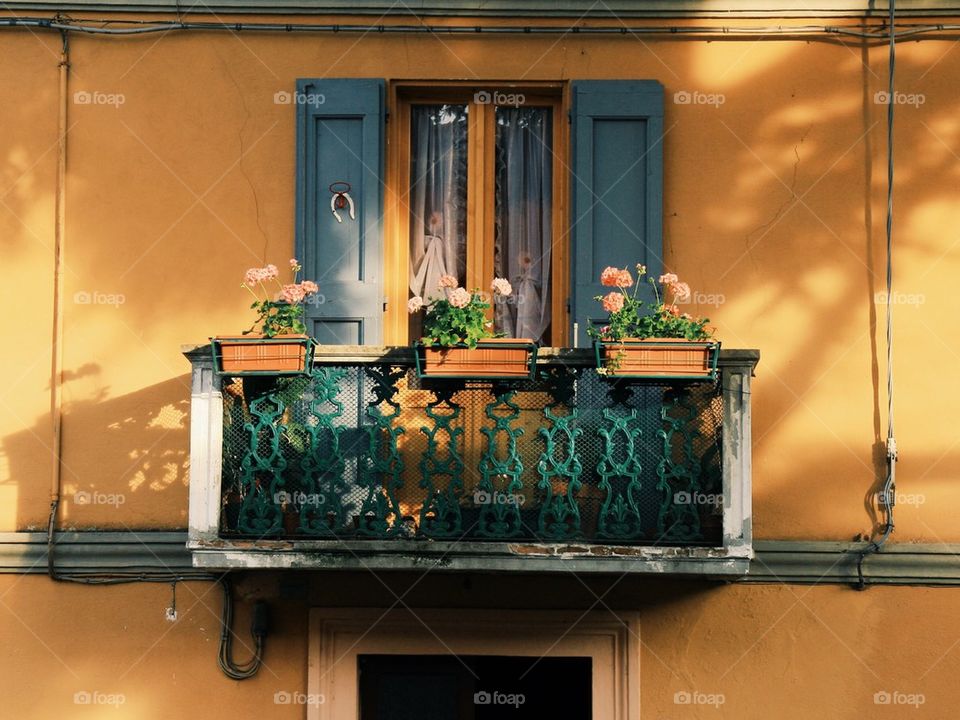 A window in Tole, Italy