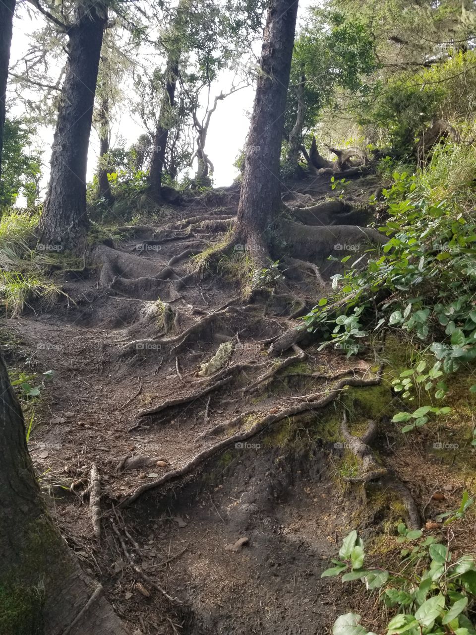 hiking in Charleston Oregon