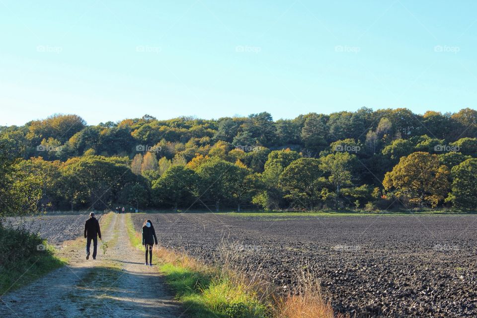 Taking a autumn walk