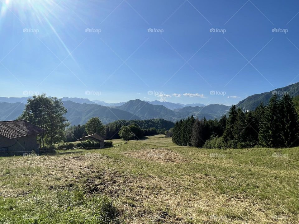 Italian countryside in a sunny dai of sumer. View of a pinewood and green hill , Italian landscape 