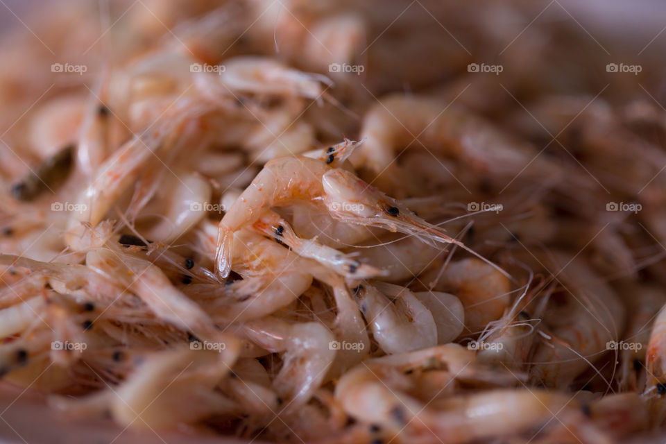 Dried salted prawn