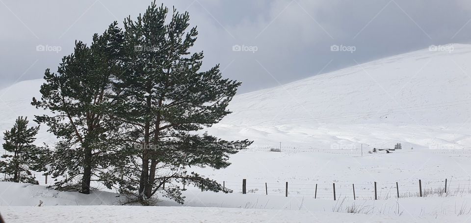 snow in scotland in February