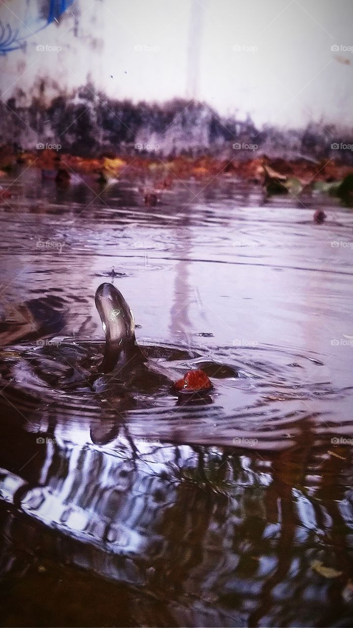 somewhere when it was raining