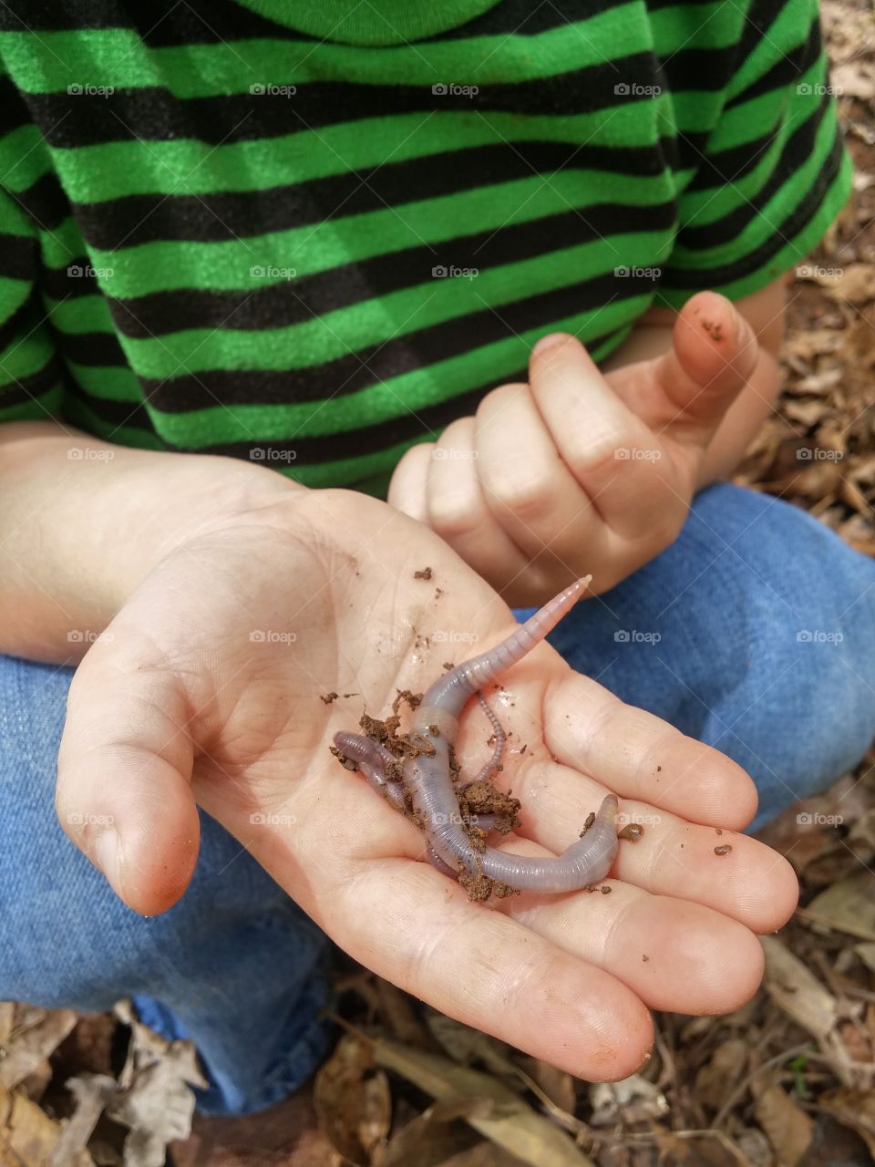exploring earthworms
