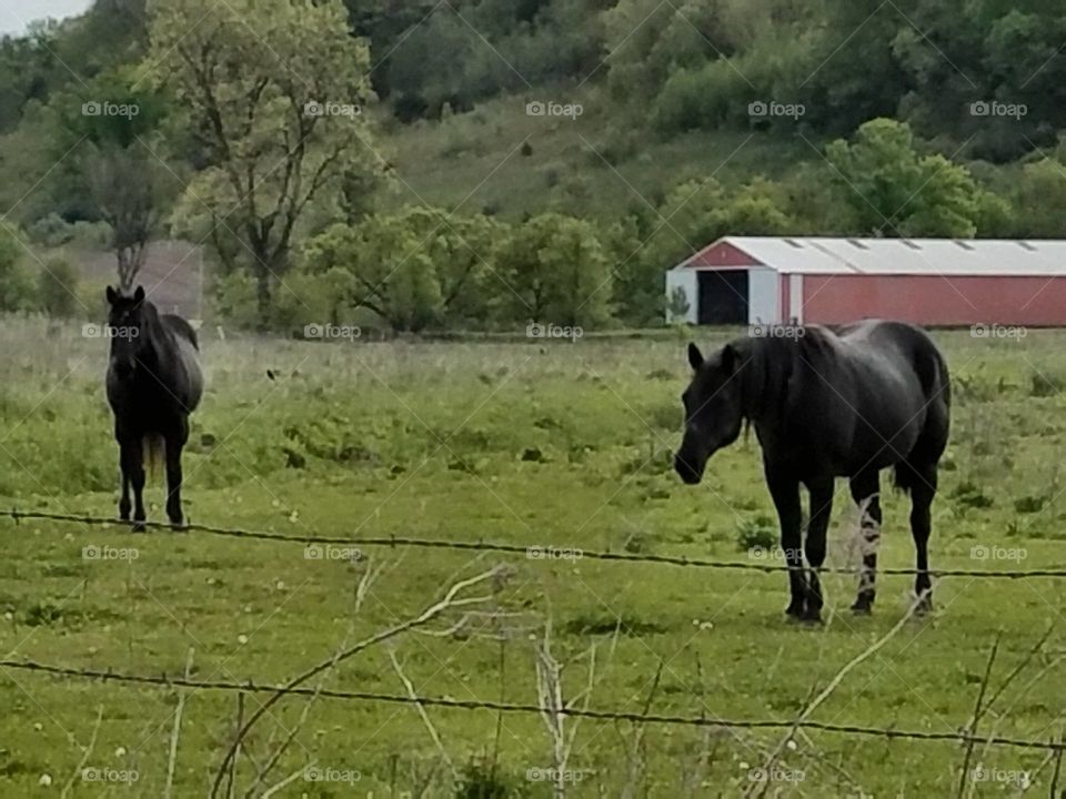 Driving the Back Roads and enjoying everything around us