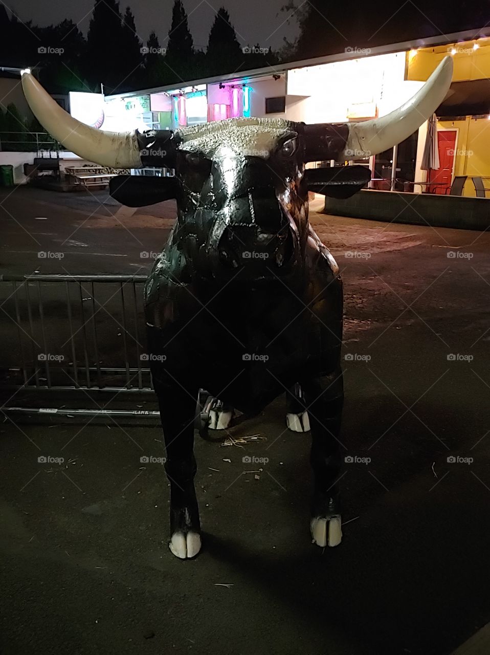 Bull on the Corner