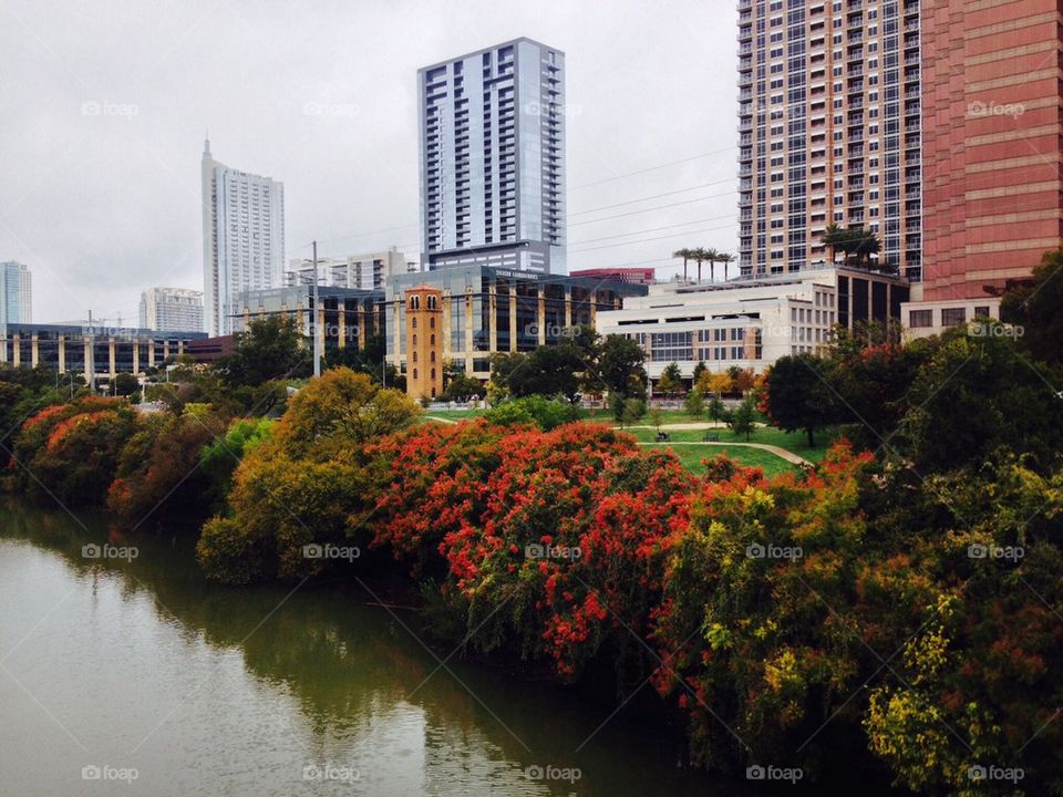 Fall foliage Austin, Texas 